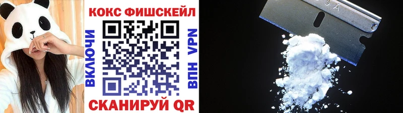 магазин  наркотиков  Пенза  ссылка на мегу сайт  Cocaine Fish Scale 