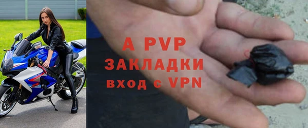 стафф Алексин