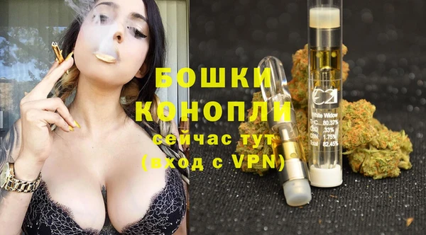 стафф Алексин