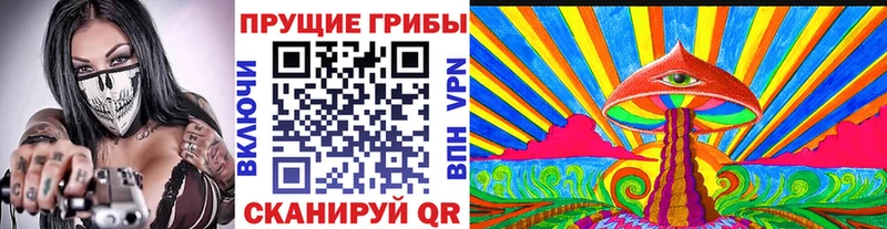 Псилоцибиновые грибы мухоморы  где купить наркоту  Пенза 
